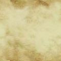Textures 221